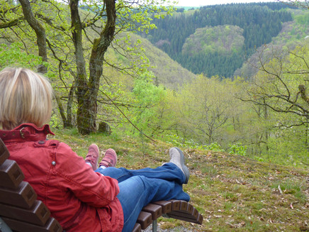 Blick übers Tal